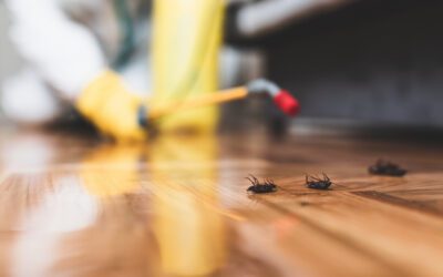 Pest Control for Manufactured Homes in Arizona: The Ultimate Bug Battle Guide